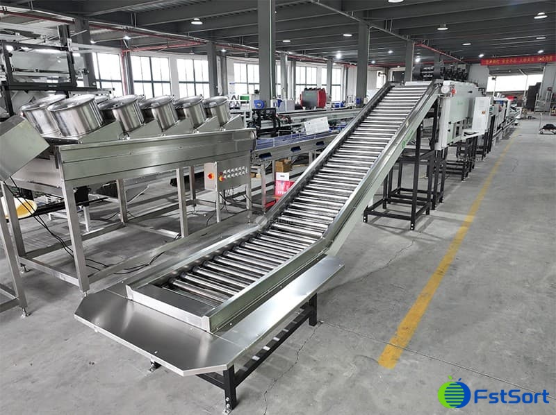 fruit sorting grading machine.jpg fruit sorting grading machine.jpg